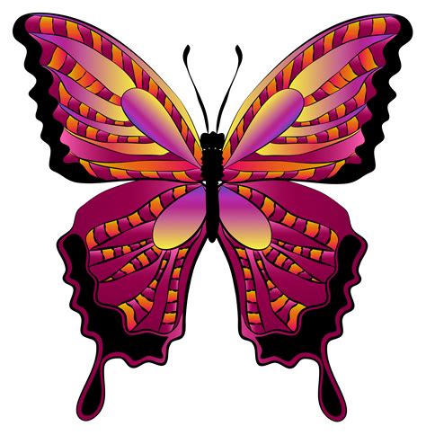 butterfly clip art|free clip art butterfly images.